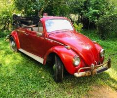 Volkswagen 1200 - Fully Rebuilt Engine! - 6